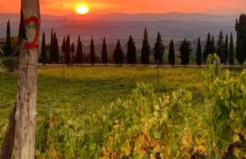 House with a view in Tuscany - Foto 50