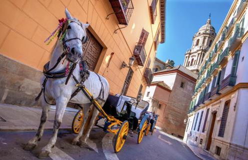 Malaga Centre Apartment with Parking - Photo 41