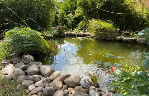 Superbe maison avec jardin - Foto 4