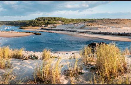 Mobil Home cosy à Contis Proche plage et nature - Foto 17