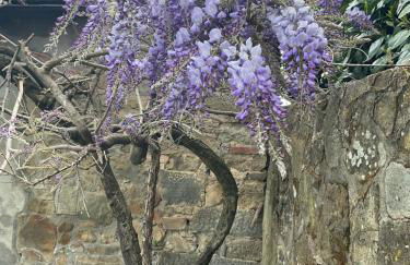 Podere il Poggio - Foto 17