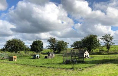 Llys Onnen - North Wales Holiday Cottage - Foto 31