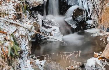 Serene & Cozy - Peaceful View - Fireplace - Creek - Foto 16