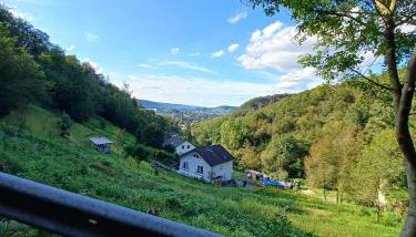 Ferienwohnung Neli am Rhein - Foto 5