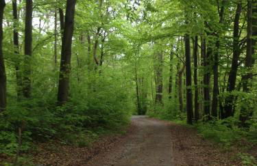 Ferienwohnung Weitblick - Photo 37