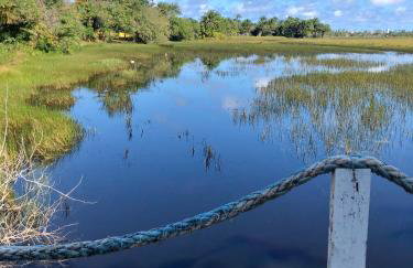 Village charmoso em Itacimirim - Foto 67