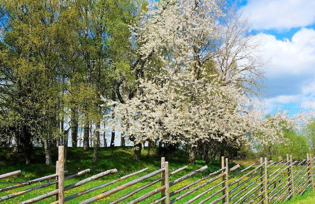 4 Person Holiday Home in Sandhem-by Traum - Foto 17