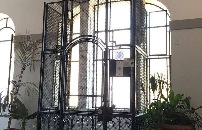 Amaranto Romano - Foto 53