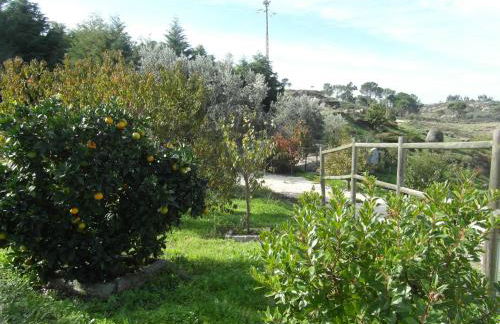 Casa da Bôcha - Foto 12