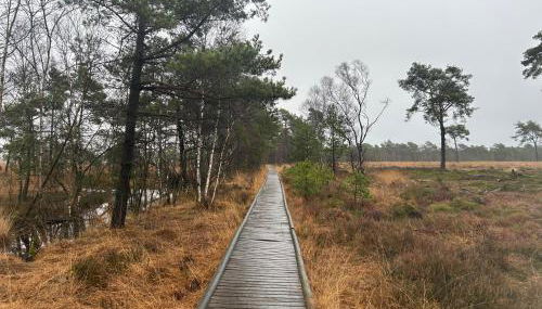 Ferienwohnungen Liedtke - Foto 3