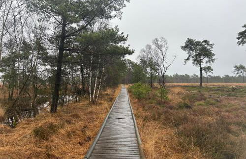 Ferienwohnungen Liedtke - Foto 3