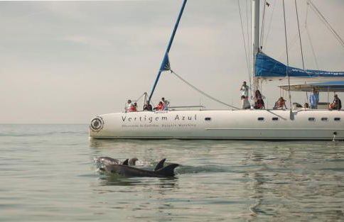 Monte do Brejinho de Água - Foto 69