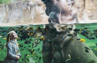 Beautiful Apartment at The Botanical Gardens #1 - Foto 42