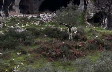 M Butterfly - Foto 59