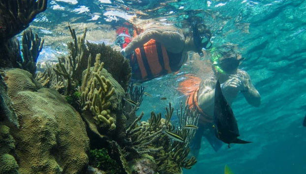 Private Boat Trip - Foto 4