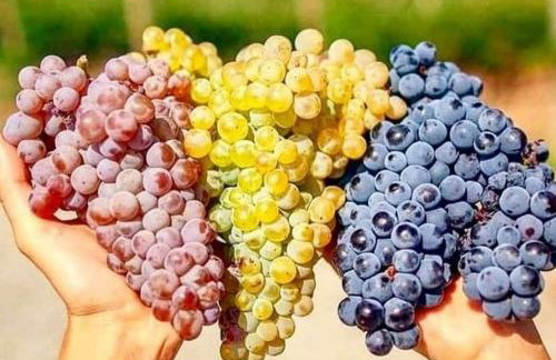 Studio ARIS, a breath away from Athens! - Foto 43