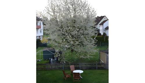 Ferienwohnung am Rande Kassels - Foto 4