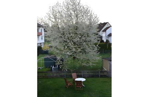 Ferienwohnung am Rande Kassels - Foto 4