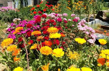 Casa 99 in Barbéns, Miranda do Corvo - Foto 13