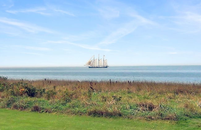 "Stacie" - 10m from the sea - Foto 13