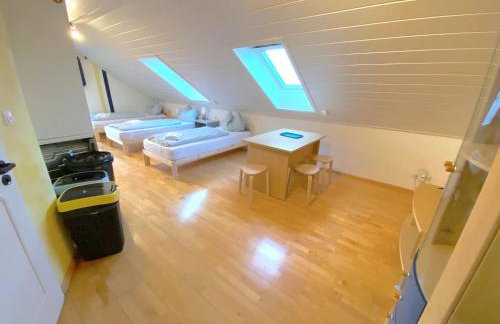 V Apartment 4 Personen - Monteurzimmer - Ferienwohnung - Kronwieden - Foto 9