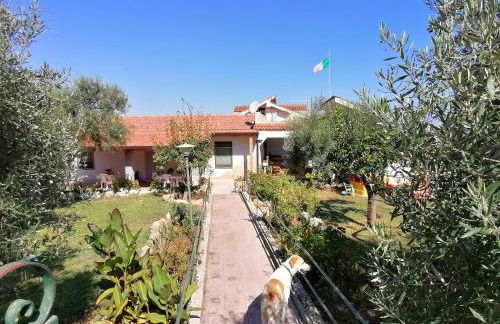 Piccolo Podere - Foto 44