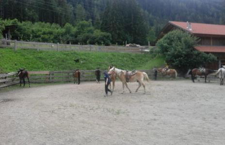 Sul cucuzzolo - Foto 69