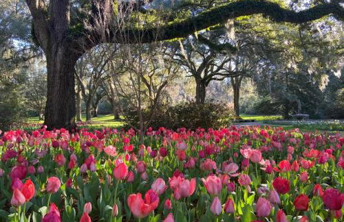 Private Wrightsville Beach Retreat - Channel View! - Foto 48