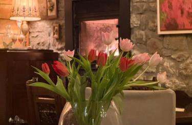 Εn Kanalion - Foto 14