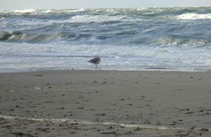 Apartment in Ribnitz-Damgarten 35179 - Foto 25