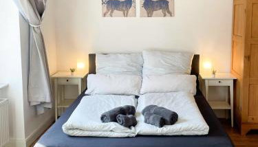 Business Central Apartment Wiesbaden - Foto 3