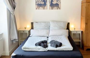 Business Central Apartment Wiesbaden - Foto 9