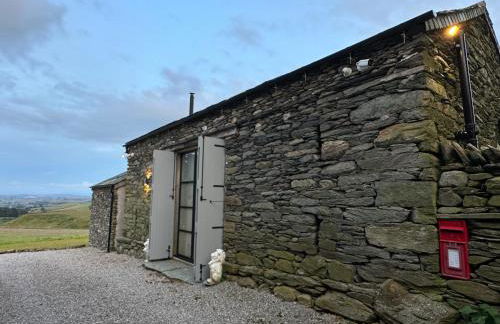 Wild boar barn - Foto 48