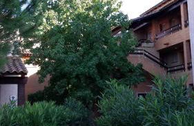 Residence de Tourisme Marina Corsa - Foto 26