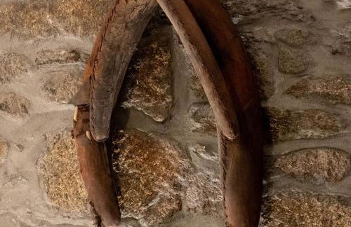 BABhouse Loja do Cavalo - Coração do Douro - Foto 23