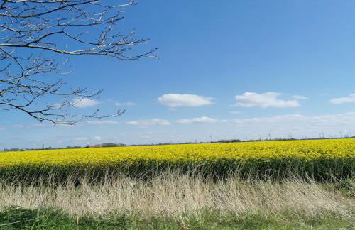 Ferienwohnung 1 Nordsee Gulfhof Dornum - mit großem Garten - Foto 22