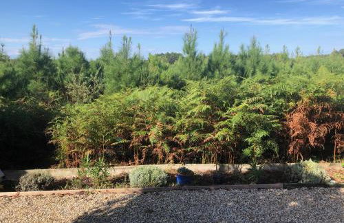 Village Océlandes - Maison à St Julien en Born - Landes - Foto 17