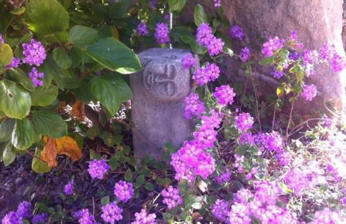 Vacaciones La Marina Costa Blanca - Foto 37