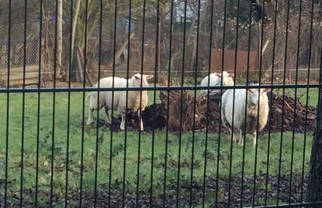 Ferienwohnung Romance - Foto 29