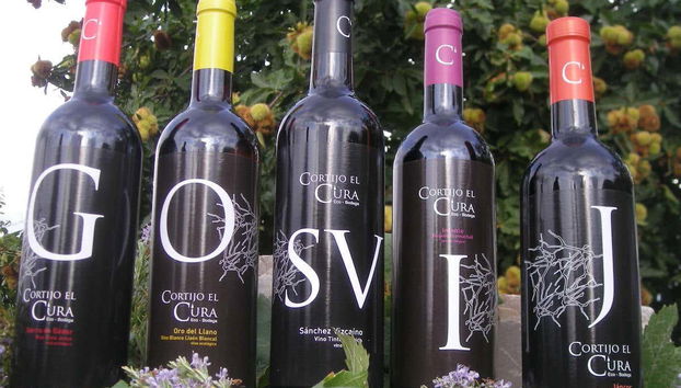 Tour in Láujar de Andarax - Foto 2