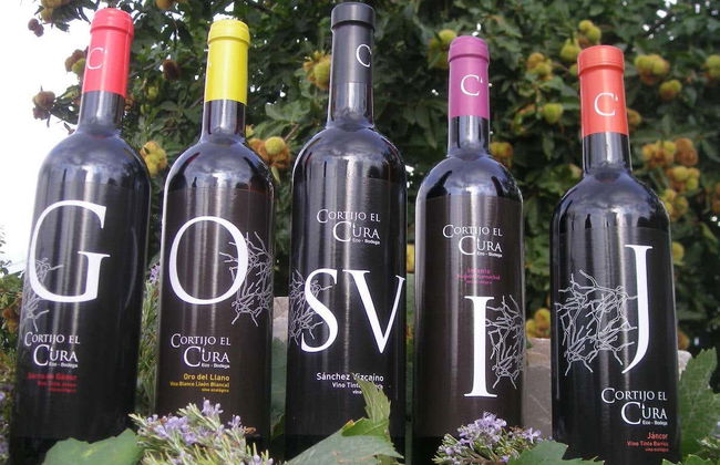 Tour in Láujar de Andarax - Foto 2