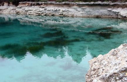 Finca Luz de Alba - Photo 68