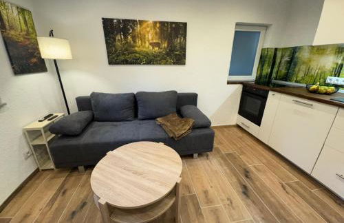 Siebenschläfer - Photo 11