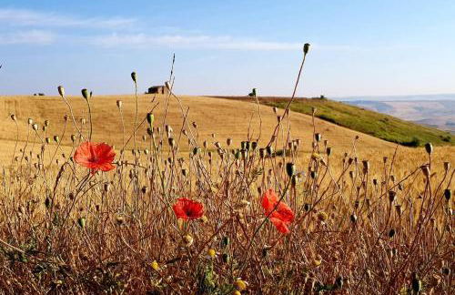 Casa Santa Maria - Beautifully restored house in centro storico Irsina Basilicata Puglia - Photo 32