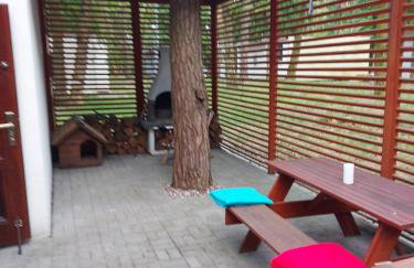 W sosnowym lesie - Foto 7