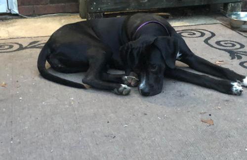 Diamond in the Rough - Foto 6