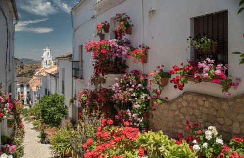 Doña Juana by Vintage Travel - Foto 18