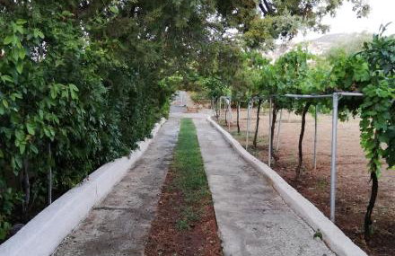 Dreamhome -10min from airport- - Foto 15