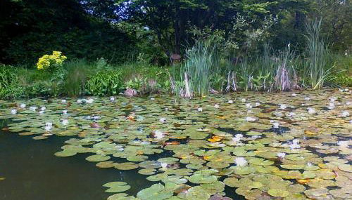 Au Jardin d'Eau - Foto 5