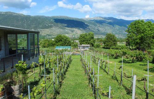 Stone Home & Vineyard - Foto 12